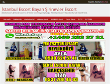 Tablet Screenshot of istanbulkuryesi.com
